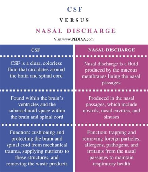 Difference between CSF and Mucus: Detailed。